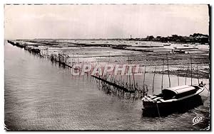 Bassin d'Arcachon Carte Postale Semi Moderne Parc a huitres