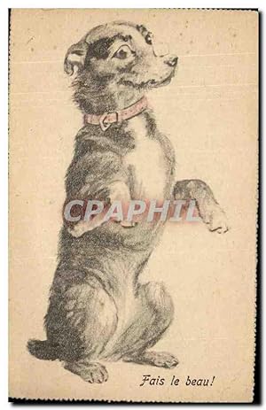 Bild des Verkufers fr Carte Postale Ancienne Fantaisie Chein Dog Fais le beau zum Verkauf von CPAPHIL