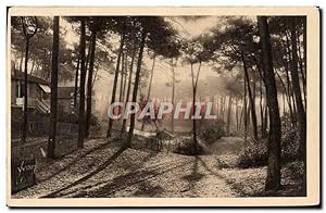 Carte Postale Ancienne Arcachon Un joli coin de la ville d'hiver