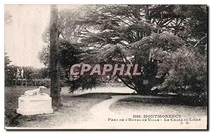 Carte Postale Ancienne Montmorency Parc de l'hôtel de ville le cedre du Liban