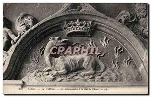 Bild des Verkufers fr Carte Postale Ancienne Blois Le chteau La salamandre a la tete de chien Dog zum Verkauf von CPAPHIL