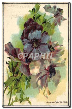 Bild des Verkufers fr Fleurs - Flowers - Artful purple blossoms Carte Postale Ancienne zum Verkauf von CPAPHIL