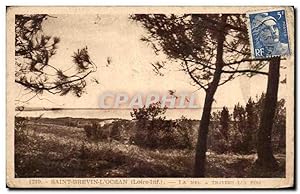 Carte Postale Ancienne Saint Brevin l'océan La mer a travers les pins