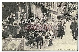 Bild des Verkufers fr Reproduction Lille Attelage de chiens Chien dog zum Verkauf von CPAPHIL