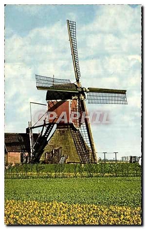 Nederland - Holland - Pays Bas - moulin - windmill - windmolen- Carte Postale Ancienne