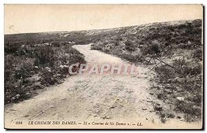 Le Chemin des Dames - El Camino de las Damas - Carte Postale Ancienne