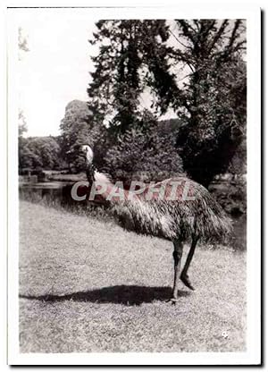 Image du vendeur pour Carte Postale Semi Moderne Par zoologique Cleres zoo mis en vente par CPAPHIL