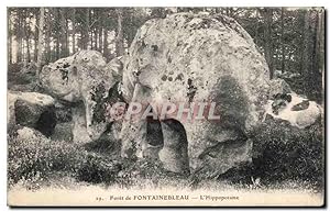 Image du vendeur pour Carte Postale Ancienne Fontainebleau La fort L'hippopotame mis en vente par CPAPHIL