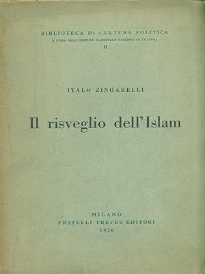 Seller image for Il risveglio dell'Islam for sale by Librodifaccia