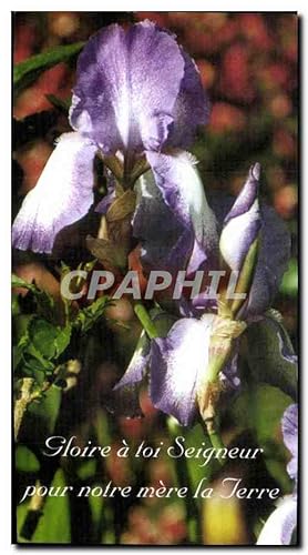 Seller image for Carte Postale Semi Moderne Fleur for sale by CPAPHIL