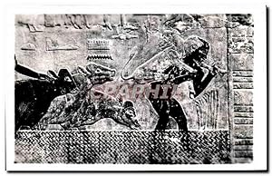 Seller image for Carte Postale Semi Moderne Egypte Egypt Sakkara Tomb of Ti for sale by CPAPHIL