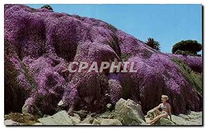 Seller image for Carte Postale Ancienne The Magic Carpet pacific Grove California An Intriguing View of the Magic Carpet Alongside the rugged rocky shores for sale by CPAPHIL