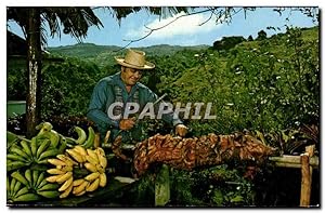 Seller image for Carte Postale Ancienne Canovanas Puerto Puerto Rico's Typical Lechon Mr Angel Ortiz Lechon according to local custom Et tipico Lechon Asado for sale by CPAPHIL