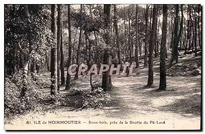 Seller image for Carte Postale Ancienne Noirmoutier Sous bois pres de la grotte du pe lave for sale by CPAPHIL