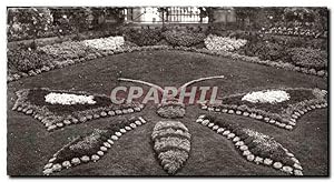 Seller image for Carte Postale Semi Moderne Avranches (manche) le jardin des plantes le papillon Butterfly for sale by CPAPHIL