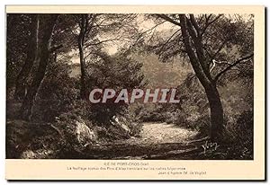 Bild des Verkufers fr Carte Postale Ancienne le De Port Cros (Var) Le fouilliage soyaux des Pins d'Alep zum Verkauf von CPAPHIL