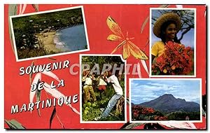 Carte Postale Moderne Souvenir De La Martinique