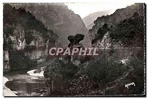 Carte Postale Ancienne Gorges du Tarn Le Champignon