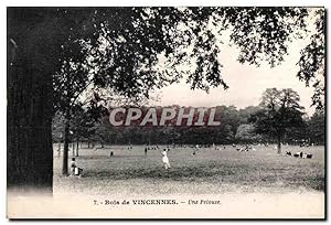 Image du vendeur pour Carte Postale Ancienne Bois de Vincennes Une Pelouse mis en vente par CPAPHIL