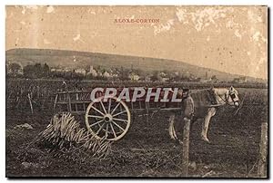 Carte Postale Ancienne Aloxe Corton Attelage dans les vignes TOP