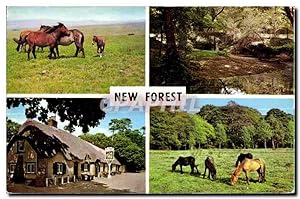 Seller image for Carte Postale Semi Moderne New Forest Ponies cat and fiddle inn Highland water and roman arch new forest ponies Horse Cheval for sale by CPAPHIL