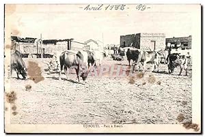 Bild des Verkufers fr Carte Postale Ancienne Djibouti Parc a Boeufs Cote des Somalis zum Verkauf von CPAPHIL