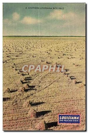 Carte Postale Ancienne A Southern Lousiana Rice Field Champ de riz