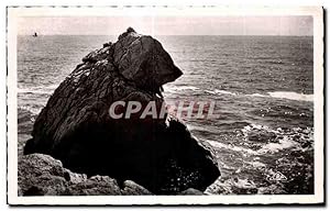 Image du vendeur pour Carte Postale Ancienne La Grande Cote Etude de Rochers L'Ours Polaire Polar Bear mis en vente par CPAPHIL