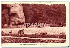 Carte Postale Ancienne Parc Zoologique Les Lionnes Zoo Vincennes