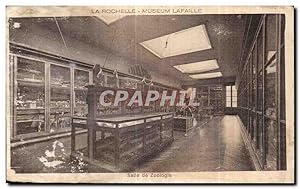 Carte Postale Ancienne La Rochelle Museum Lafaille Salle de zooloie