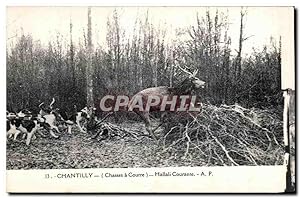 Image du vendeur pour Carte Postale Ancienne Chantilly (Chasses a Courre) Hallali Courante Cerf et chiens Dogs Hunting mis en vente par CPAPHIL
