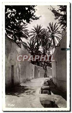 Carte Postale Ancienne Laghouat Une rue de la Grande Segu