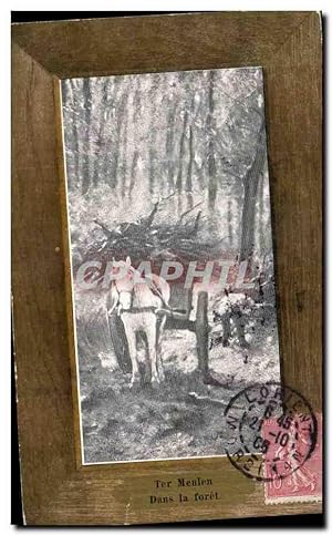 Carte Postale Ancienne Ter Meulen Dans la forêt Attelage cheval ramassant du bois dans la forêt