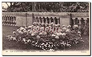 Seller image for Carte Postale Ancienne Antibes Ville Elenroc Massie de Roses for sale by CPAPHIL