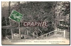 Carte Postale Ancienne Forges les Eaux Station Thermale Sous bois dans le Parc