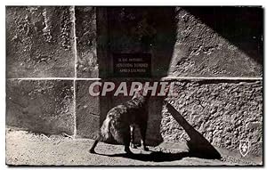 Bild des Verkufers fr Carte Postale Ancienne Bourbon Lancy Libre de I'Horloge Chien Dog zum Verkauf von CPAPHIL