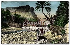 Carte Postale Ancienne Collection Artistique Un Joli Coin De l'Oued Et De L'Oasis Algerie