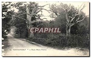Bild des Verkufers fr Carte Postale Ancienne Fontainebleau Route Marie Therese zum Verkauf von CPAPHIL