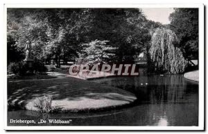 Carte Postale Ancienne Driebergen De Wildbaan