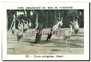 Bild des Verkufers fr Image Parc zoologique du bois de vincennes grues antigones asie zum Verkauf von CPAPHIL