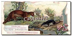 Image du vendeur pour Chromo Le Monde des Mammiferes Ordre des Ruminants Carnassiers Mangue Chocolaterie d'Aiguebelle Drome mis en vente par CPAPHIL