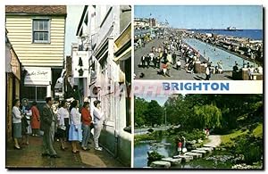 Seller image for Carte Postale Ancienne Brighton The Land The Pool The Rock Gardens for sale by CPAPHIL