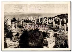 Seller image for Carte Postale Semi Moderne Tunisie Carthage for sale by CPAPHIL