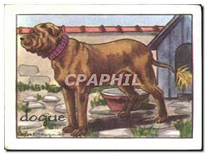 Immagine del venditore per Image Dogue Chien venduto da CPAPHIL