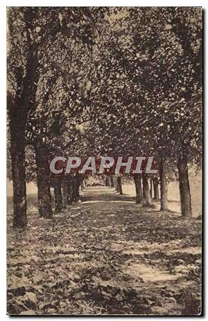 Image du vendeur pour Carte Postale Ancienne Chemin sous les bois mis en vente par CPAPHIL