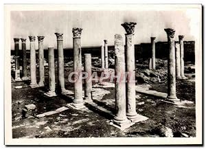 Seller image for Carte Postale Semi Moderne Tunisie Carthage for sale by CPAPHIL