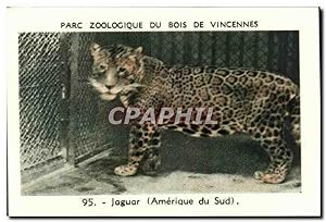 Seller image for Image Parc zoologique du bois de vincennes jaguar amerique du sud for sale by CPAPHIL