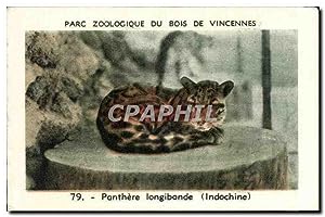 Image du vendeur pour Image Parc zoologique du bois de vincennes Zoo Panthere mis en vente par CPAPHIL