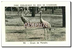 Imagen del vendedor de Image Parc zoologique du bois de vincennes Zoo Grues de Paradis a la venta por CPAPHIL