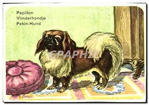 Immagine del venditore per Image Papillon Vlinderhondje Pekin Hund Chien venduto da CPAPHIL